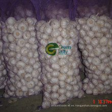 Fresh New Crop Chinese Pure White Garlic